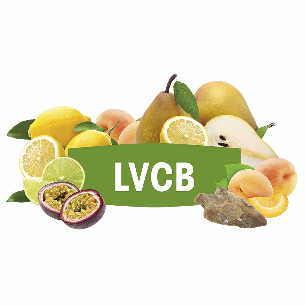 FERMIVIN® LVCB VPE 500g