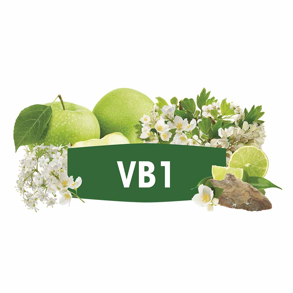 FERMIVIN® VB1 VPE 500g