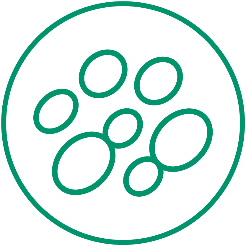 Hefen