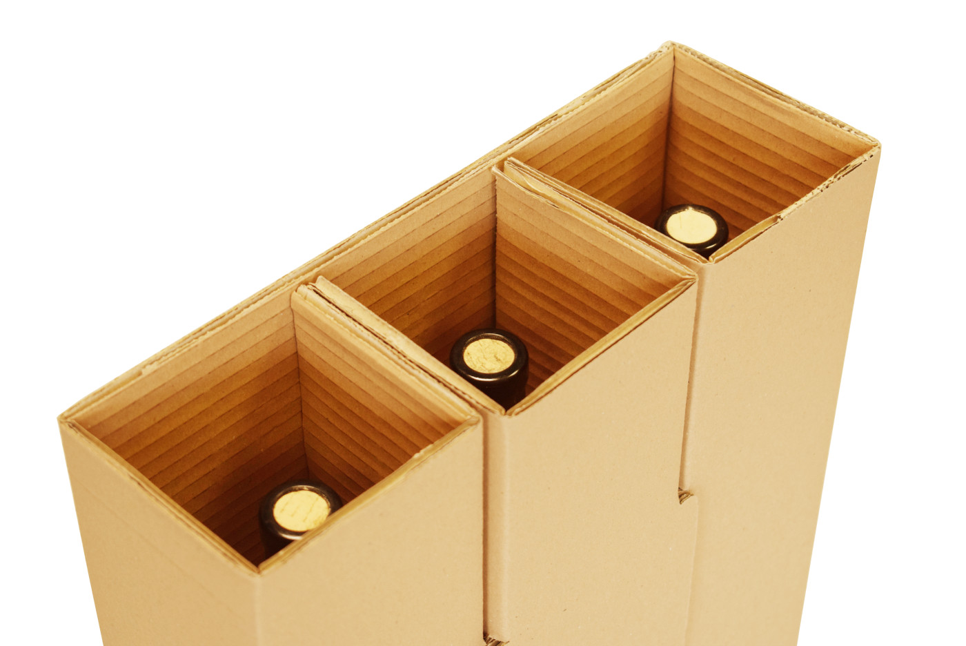 Versandkarton 9er mit Einlagen