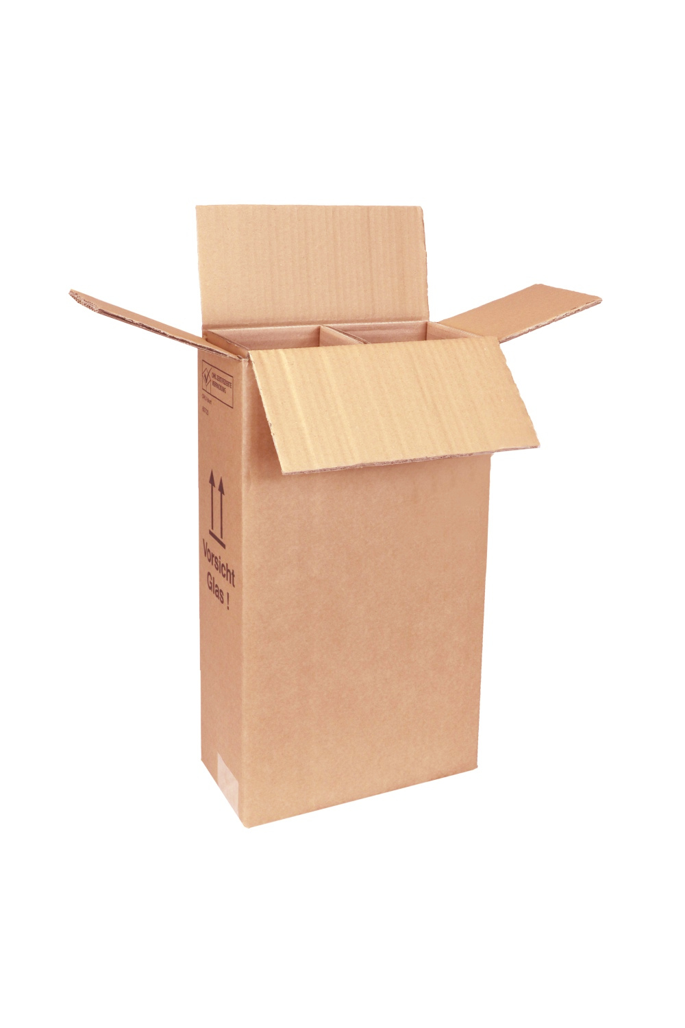 Versandkarton 2er mit Einlage