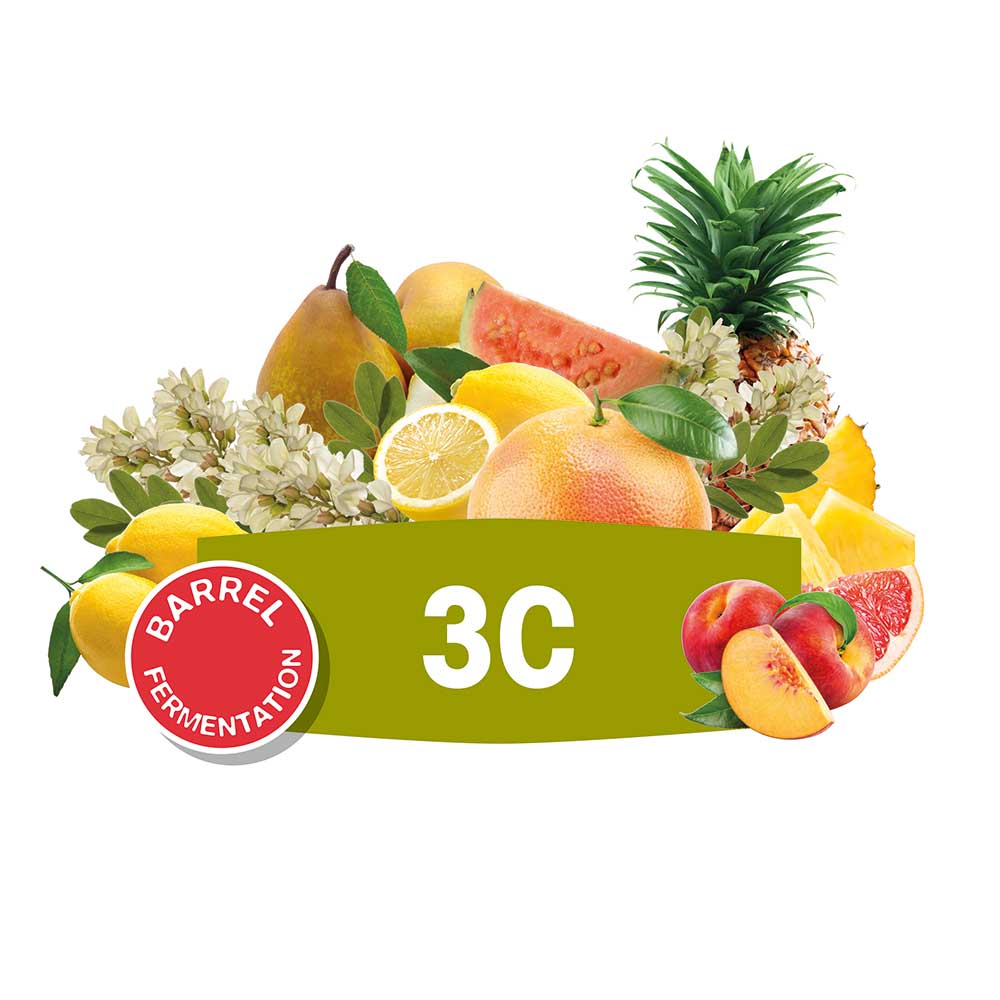 FERMIVIN® 3C VPE 500g
