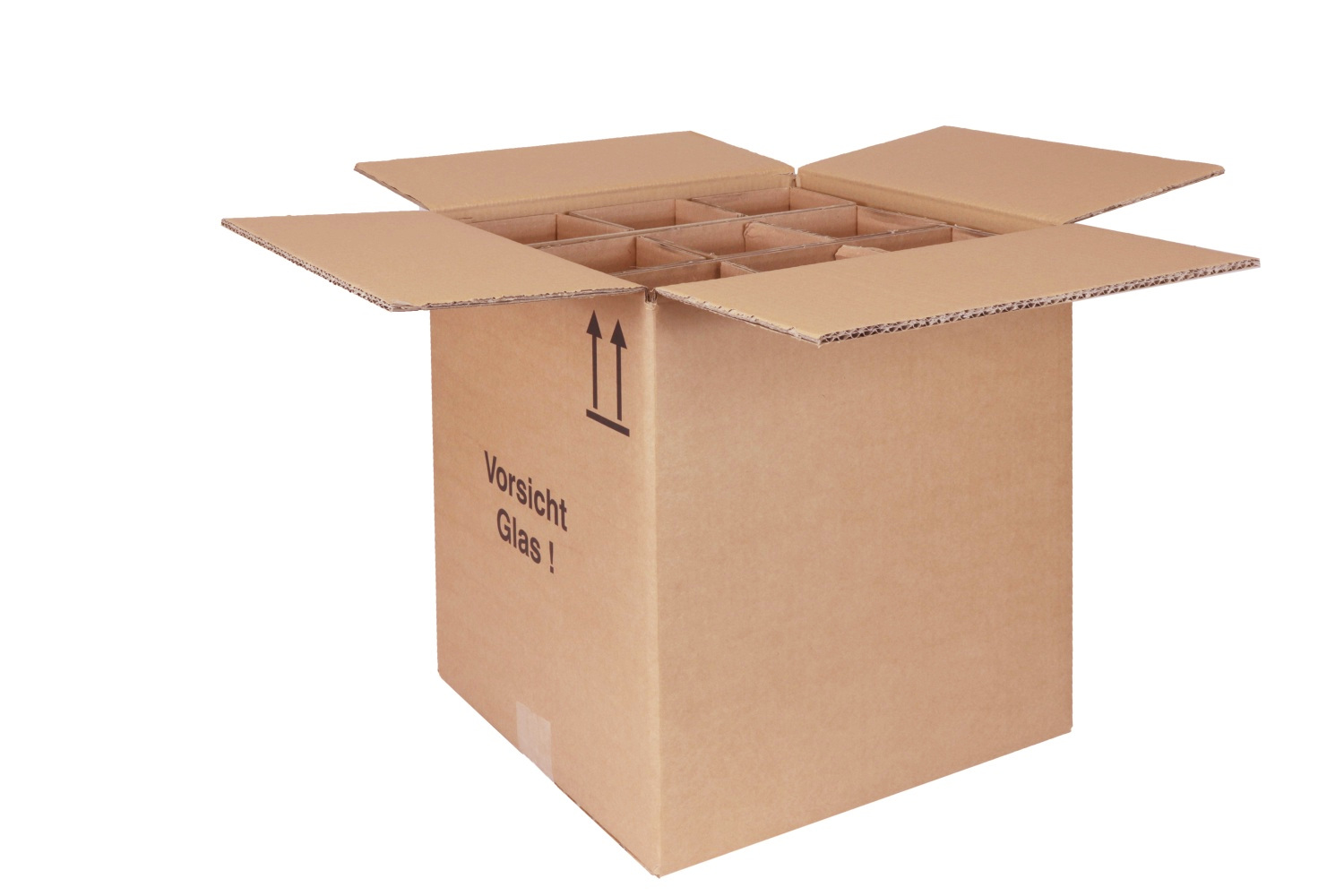Versandkarton 9er mit Einlagen