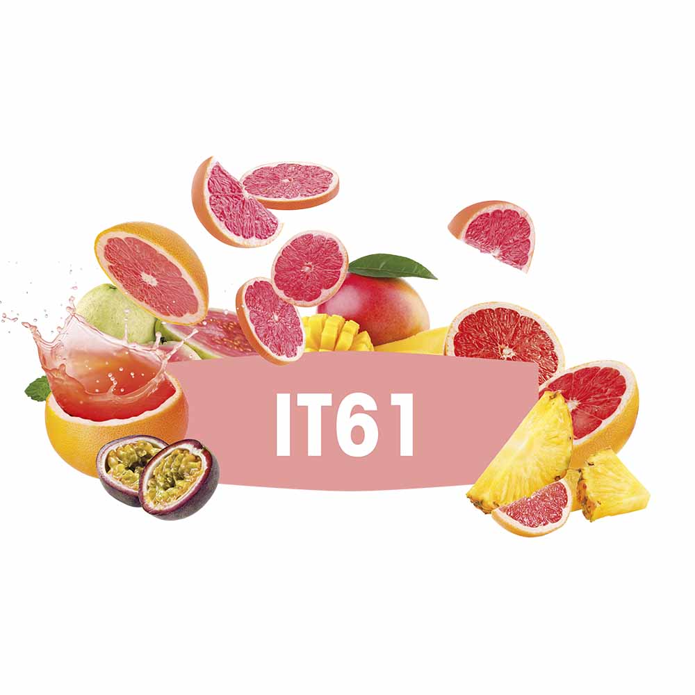 FERMIVIN® IT 61 VPE 500g