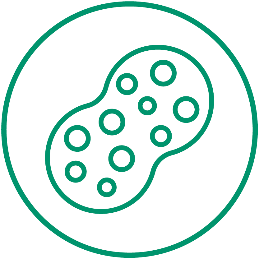 Reinigungszubehör