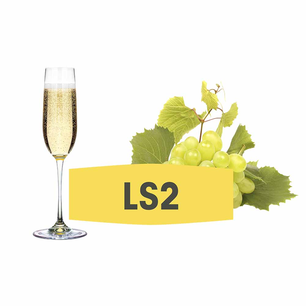 FERMIVIN® LS 2 VPE 500g