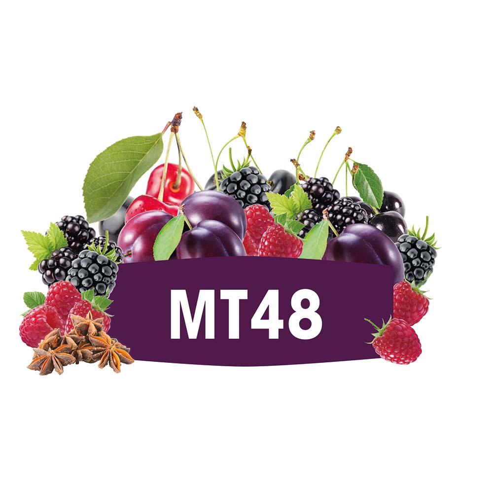 FERMIVIN® MT 48 VPE 500g