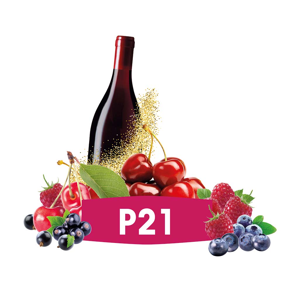 FERMIVIN® P21 VPE 500g