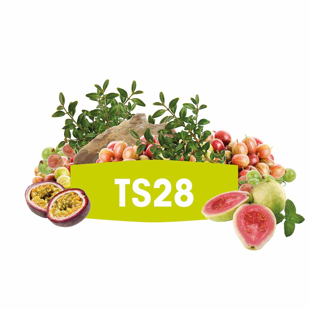 FERMIVIN® TS28 VPE 500g