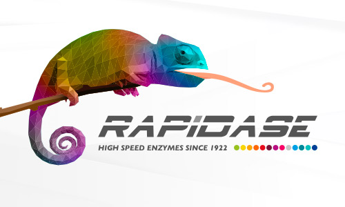 RAPIDASE EXTRA COLOR (Pulver) VPE 100 g