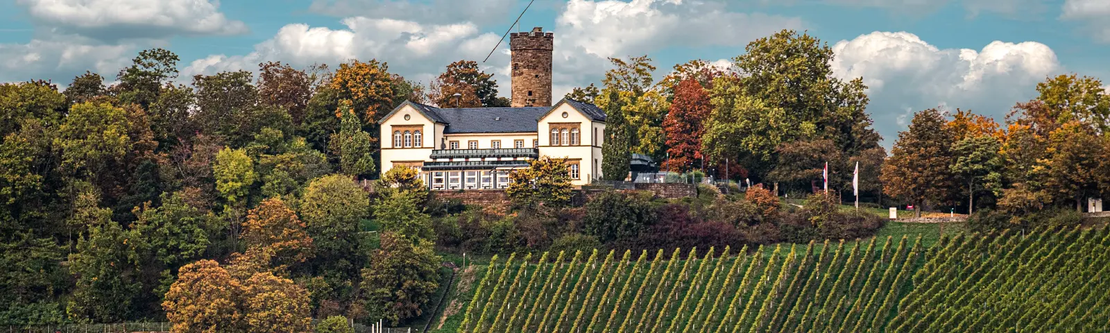 Wartber Heilbronn_(2)